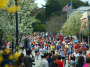 Risk of Rain and Gusty Tailwind Forecasted for Boston Marathon