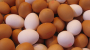 Egg Prices Drop After Record High